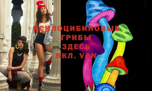 apvp Абинск