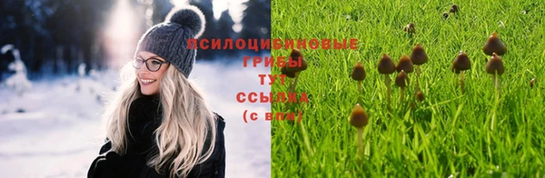 apvp Абинск