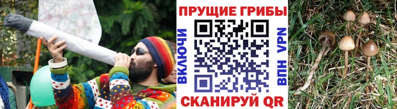 Галлюциногенные грибы мицелий  где купить   Новоаннинский 