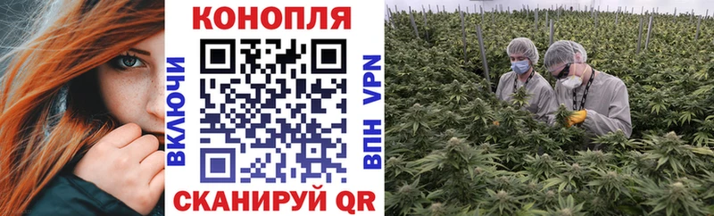 купить наркоту  Новоаннинский  Марихуана план 